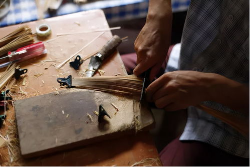 安吉竹博園 融合竹林、萌寵與冰雪的多元文化樂園