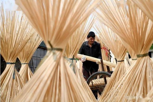 古田竹農(nóng)復(fù)工忙，竹制品加工煥發(fā)新活力