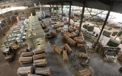 景寧東坑鎮(zhèn) 竹制品加工敲開(kāi)“致富門”，綠竹生金促振興