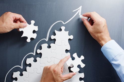 ERP管理系統(tǒng)在財務(wù)管理中的運用——企業(yè)管理咨詢視角